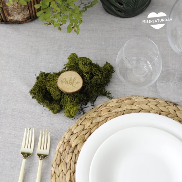 Musgo natural 500 gr