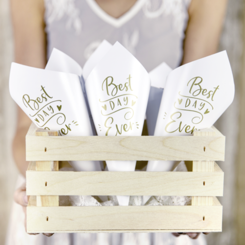 10 Conos "Best Day Ever" 2