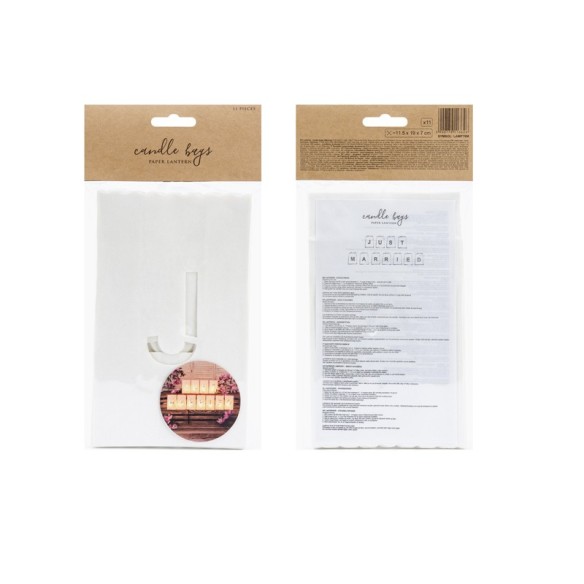 Fondo hojas de eucalipto