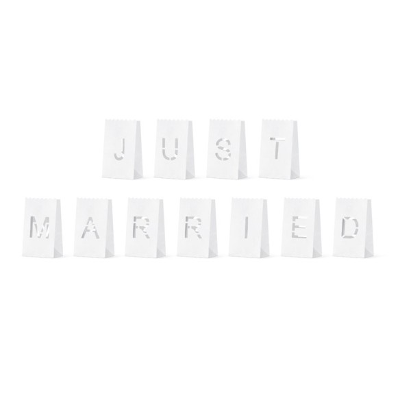 Fondo hojas de eucalipto