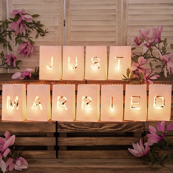 Fondo hojas de eucalipto