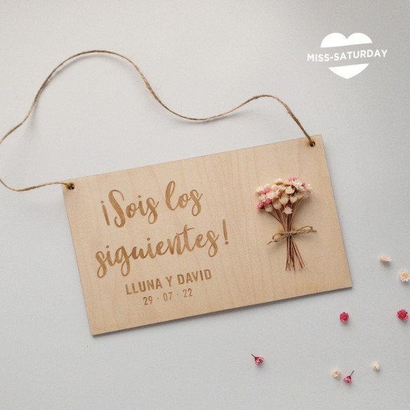 Placa Sois los siguientes