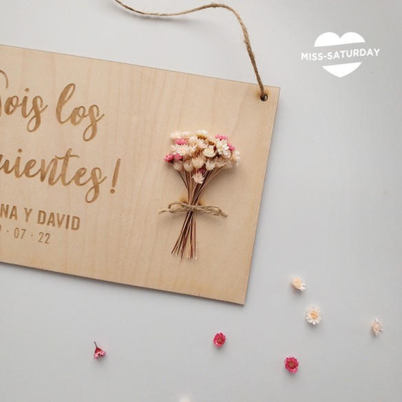 Placa Sois los siguientes