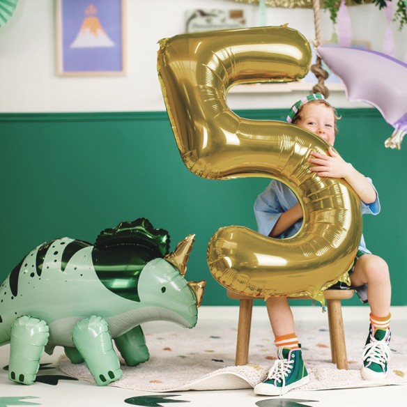 Globo Dinosaurio Pterodactylo