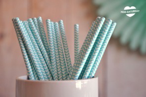 25 Cañitas Chevron Mint