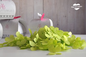 Rice Butterflies Lima